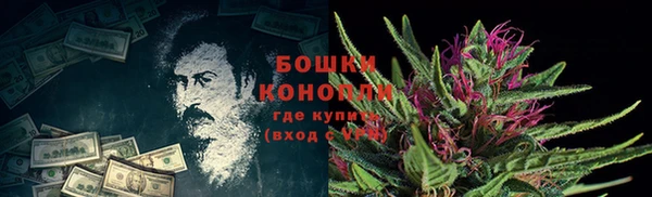 спиды Бородино