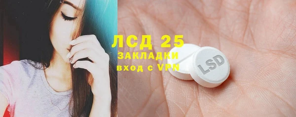 спиды Бородино